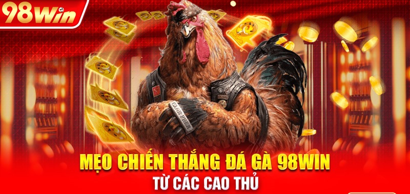 Đá gà 98WIN luôn thắng cần có những mẹo nào?